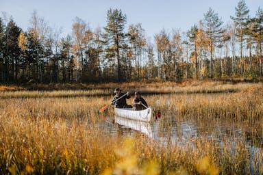 Två glada äventyrare utforskar den svenska vildmarken med kanot på en lugn flod.