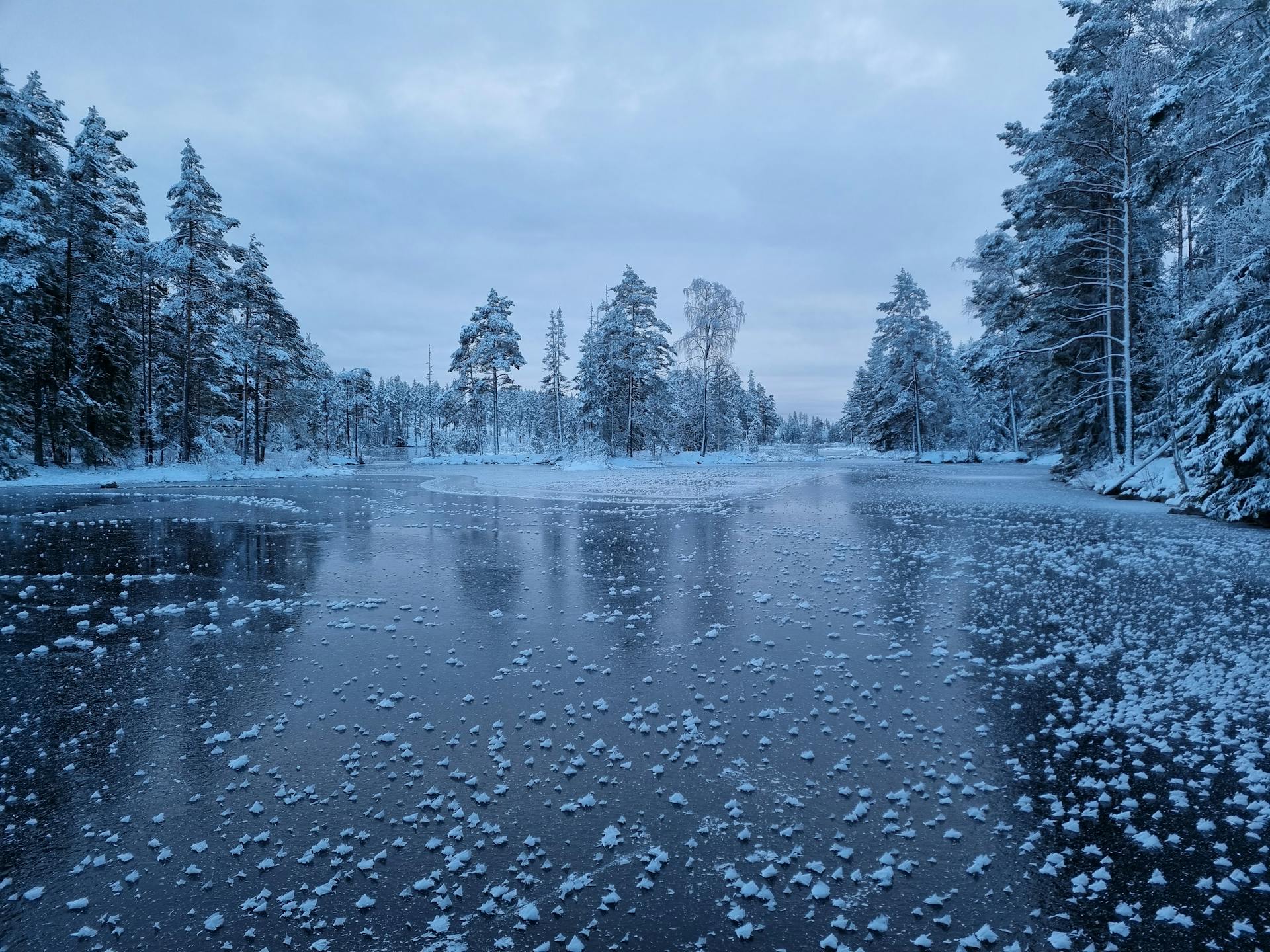 A mesmerizing frozen landscape with smooth ice on a lake and trees covered by snow.