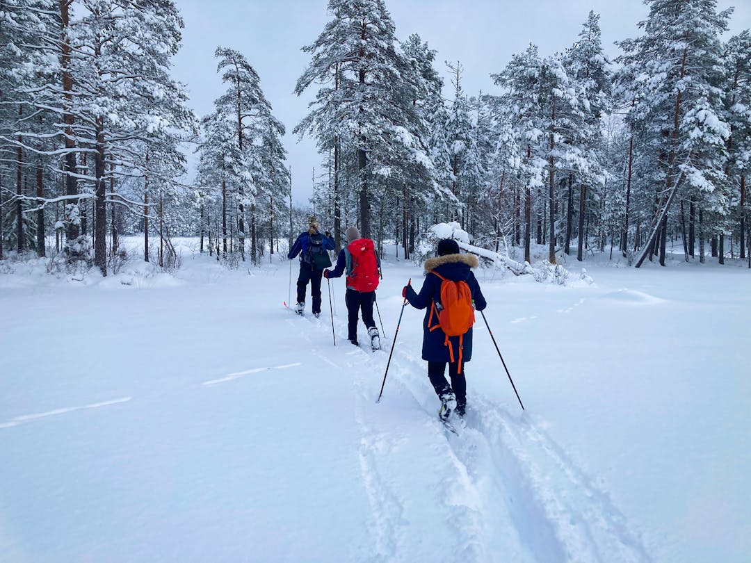 Three people are exploring the deep snow during a guided ski touring tour by Nordic Discovery in the wilderness of the Malingsbo-Kloten Nature Reserve, Sweden.