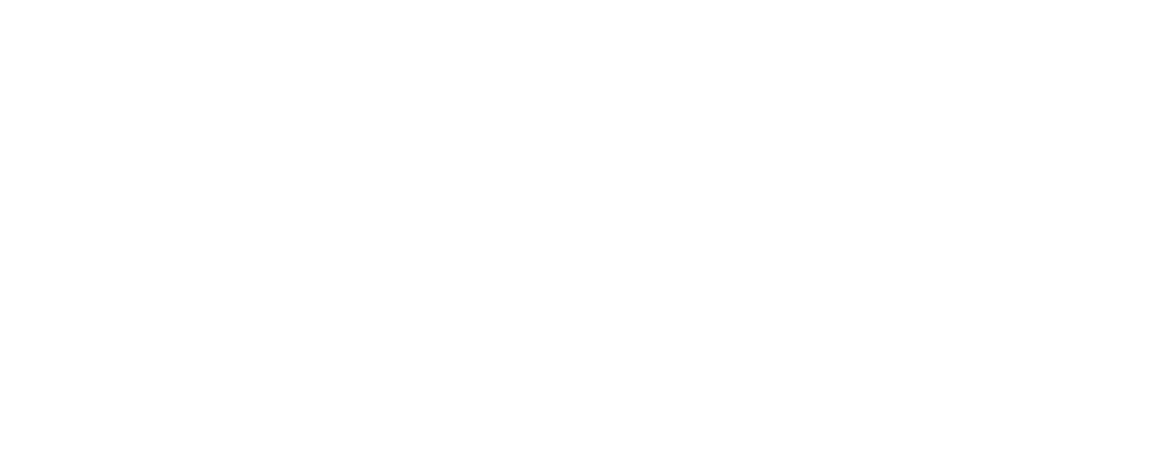 Nordic Discovery Logotype