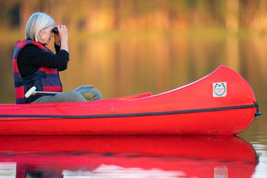 Beaver safari participant looking through binoculars at a beaver swimming in the lake during a beaver safari in Sweden with Nordic Discovery.