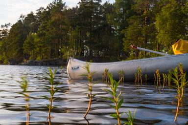 Canoa sulla riva di un lago con il logo di Nordic Discovery.