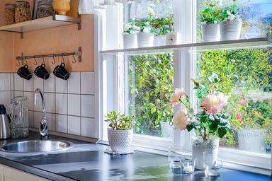 Köksfönster med växter och solljus.