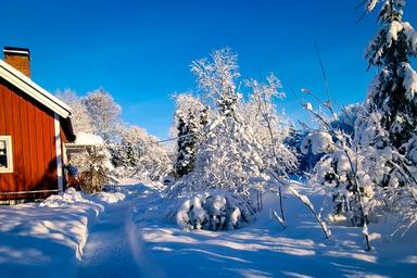 Trädgården till vildmarksstugan täckt av massor av snö under den svenska vintern.
