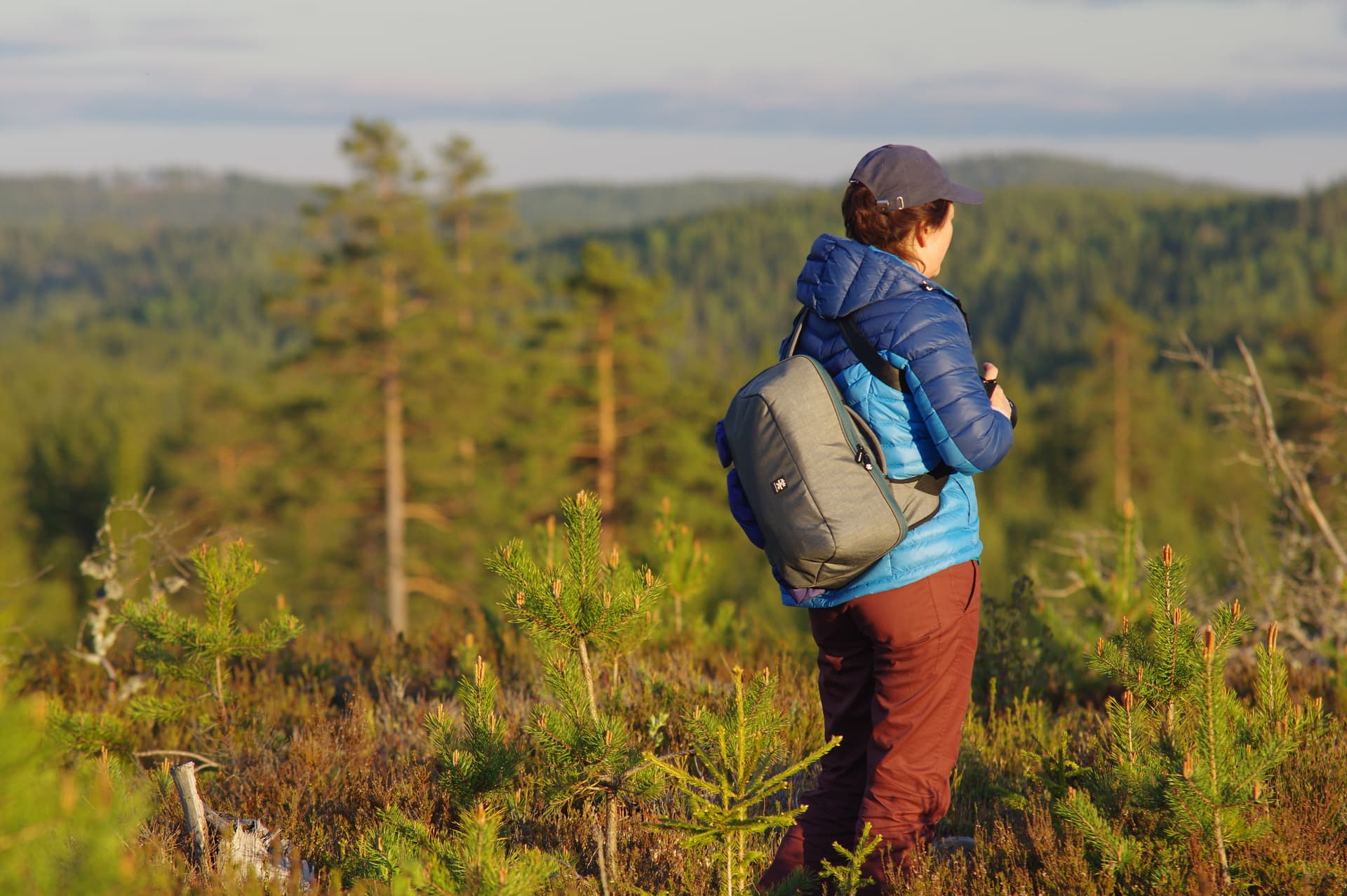 En grupp människor vandrar i skogen under en älg safari i Sverige.