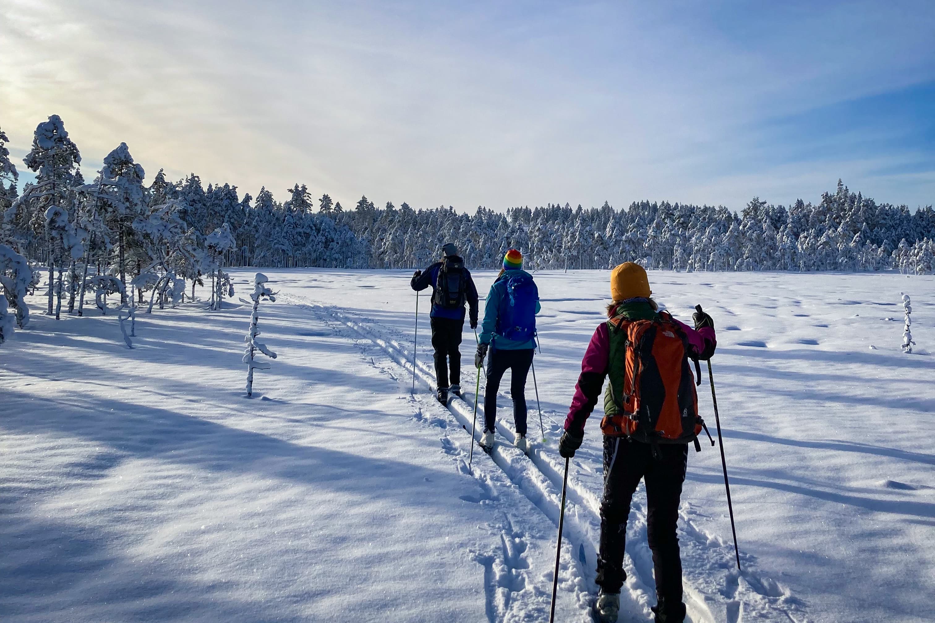 Three persons cross country skiing under the sun in the Malingsbo-Kloten Nature Reserve, on a snowy landscape with a forest.