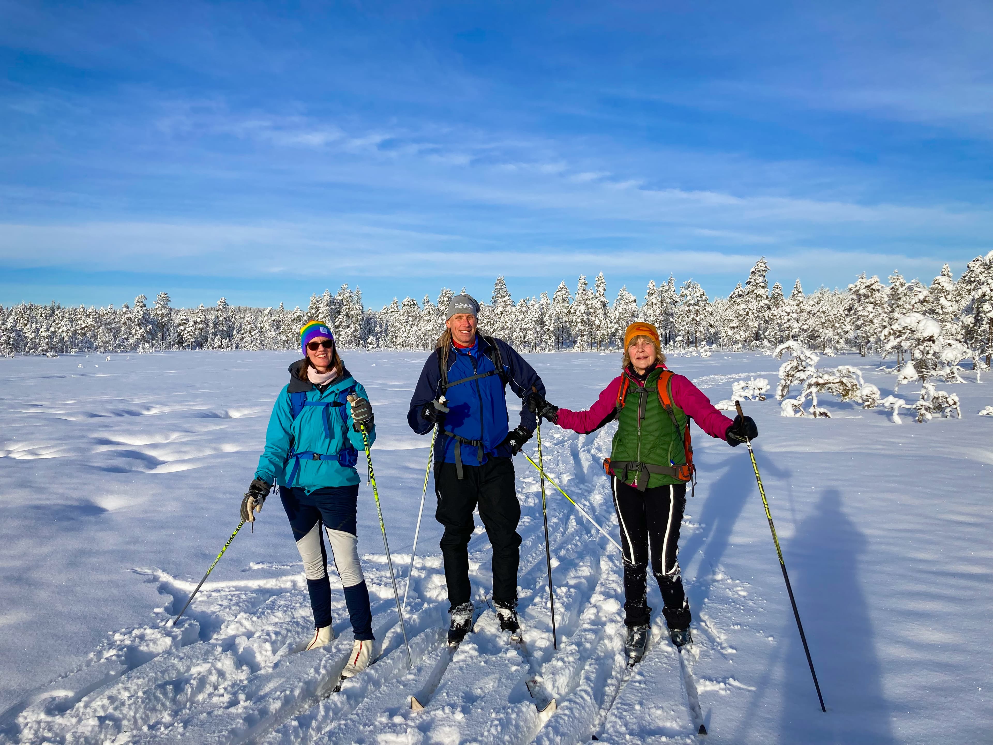 One guide and two participants are smiling for a group picture during a guided ski touring tour by Nordic Discovery in the sunny winter landscape at the Malingsbo-Kloten Nature Reserve.