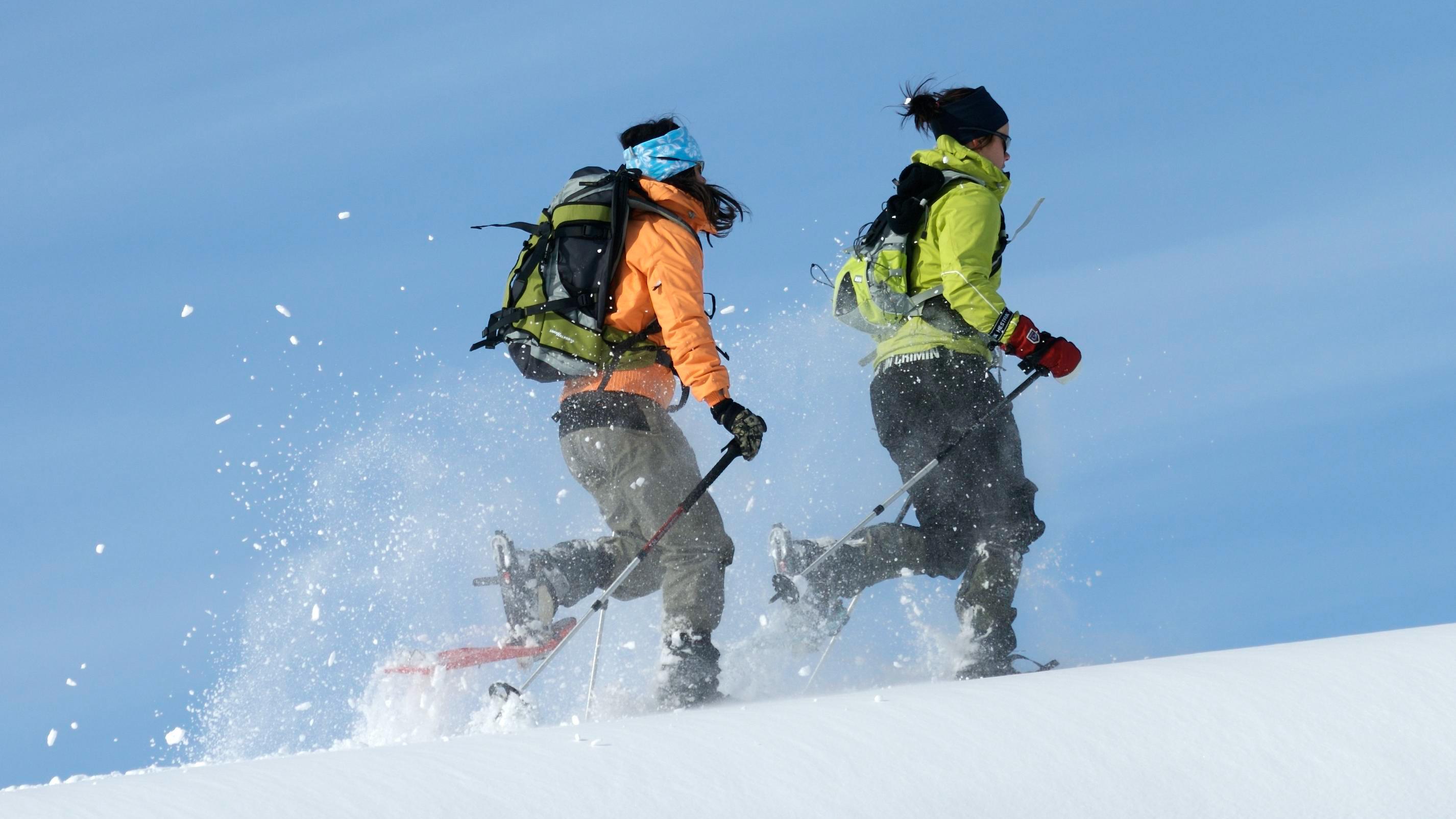 Experience the thrill of a snowshoe tour, running in the sun with snow flying around you, by Nordic Discovery.