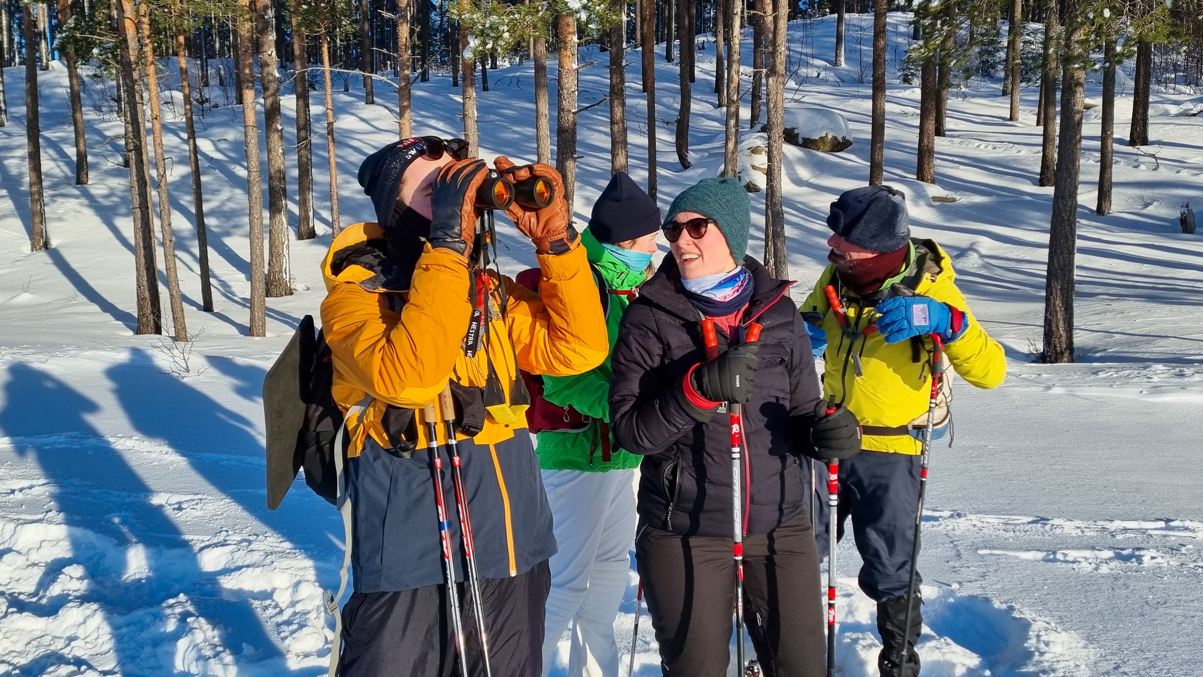 Quatre personnes font une pause lors d'une excursion de suivi de loups guidée par Nordic Discovery à la recherche de loups sous le soleil.