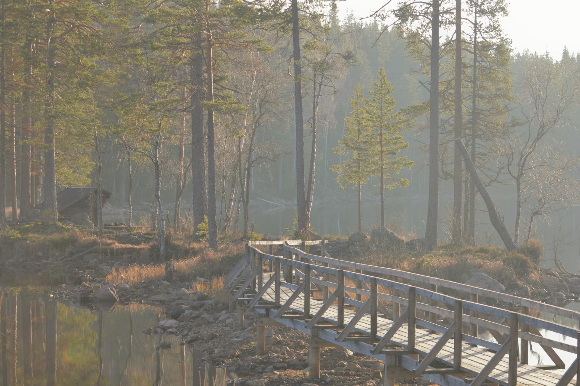 Senderismo sobre un puente en la naturaleza sueca con Nordic Discovery.