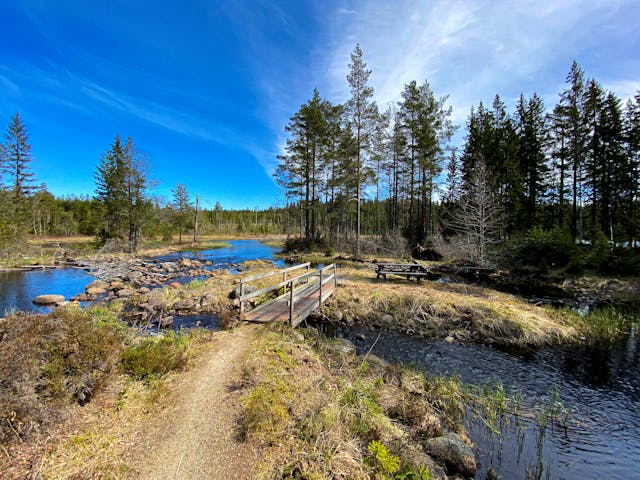 Ein kleiner Fluss fließt um eine Insel herum mit einer Bank und Brücke, neben dem Wildnis-Camping in Schweden.